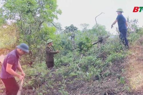 Chi cục Kiểm lâm tỉnh Bắc Ninh thông báo cấp dự báo cháy rừng