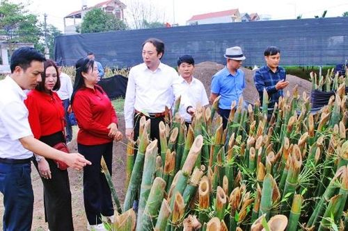 Ra mắt Hợp tác xã sản xuất nông lâm nghiệp công nghệ cao Ngọc Thiện