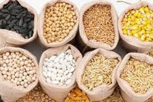 Giá thức ăn chăn nuôi tại Trung Quốc tăng vọt, hộ nuôi lợn lỗ đến 350 nhân dân tệ mỗi con