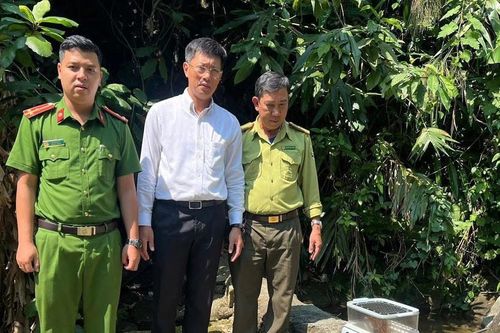 Thả cá thể cu li quý hiếm về môi trường tự nhiên