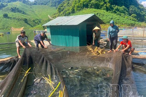 Sử dụng hiệu quả vốn chương trình mục tiêu quốc gia