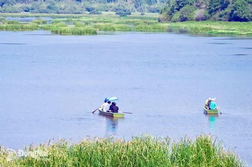 4 đề án du lịch sinh thái rừng được phê duyệt