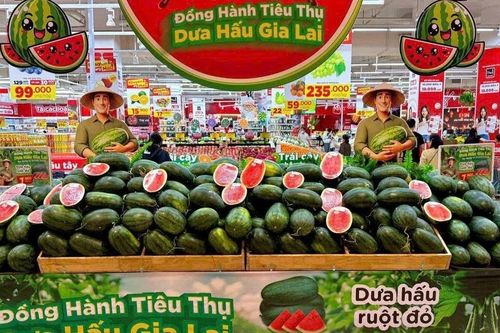 Kết nối tiêu thụ dưa hấu