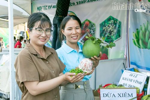 Xã nông thôn mới cần có mô hình nông nghiệp công nghệ cao