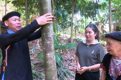 Phát huy vai trò người uy tín trong vùng đồng bào dân tộc thiểu số