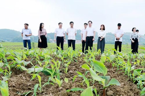Đoàn công tác số 10 của Ban Thường vụ Tỉnh ủy làm việc với Ban thường vụ Đảng ủy xã Quy Mông