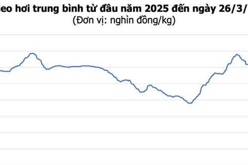 Giá heo hơi hôm nay 26/3/2026: Thị trường đi ngang, cao nhất 69.000 đồng/kg