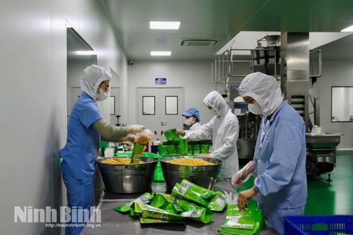 Ứng dụng công nghệ vào sản xuất - nâng tầm giá trị nông sản