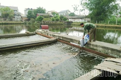 Để vụ nuôi thủy sản mới bội thu