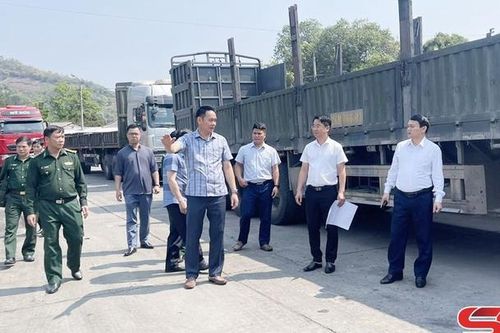 Quy hoạch chi tiết cửa khẩu chính Chiềng Khương rộng 14 ha