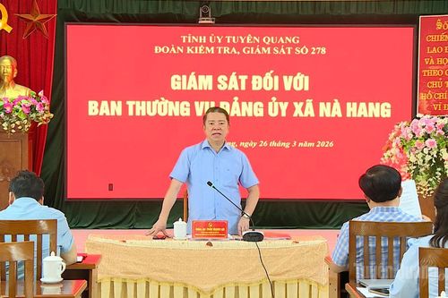 Các đoàn công tác của Ban Thường vụ Tỉnh ủy kiểm tra, giám sát tại các địa phương