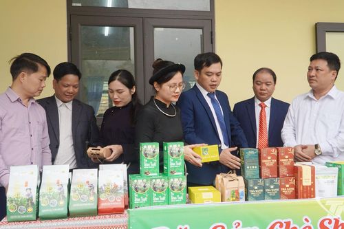 Công bố Quyết định công nhận Làng nghề chè Shan tuyết Bằng Phúc