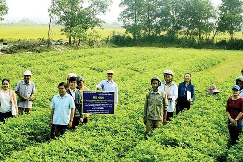 Từ phòng thí nghiệm ra đồng ruộng
