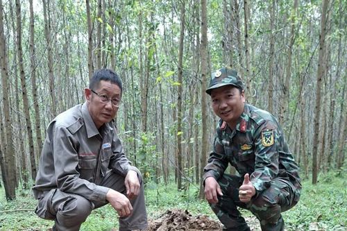 Quảng Trị: Xử lý an toàn bom MK -82 nặng khoảng 227kg