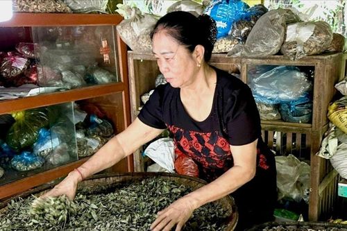 Lào Cai: Tăng cường quản lý hoạt động kinh doanh, quảng cáo, sử dụng dược liệu, thuốc cổ truyền