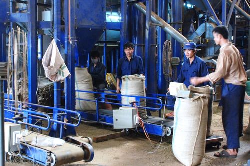 Hoàn thiện cơ chế chính sách thuế, 'mở khóa' cho doanh nghiệp nông sản