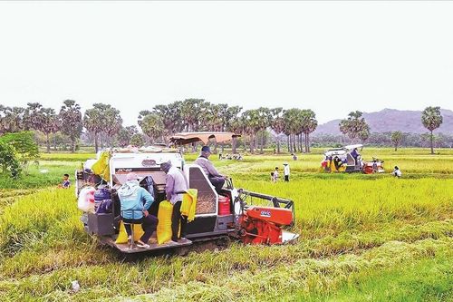 Chương trình mục tiêu quốc gia: Giai đoạn mới - đột phá mới