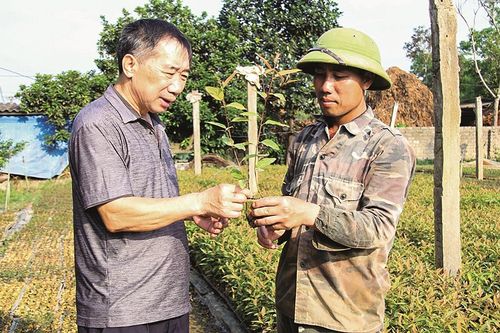 Đánh thức giá trị 'vàng' của nền kinh tế bạc