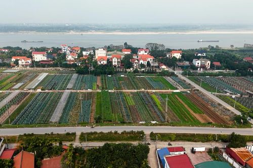 Nông nghiệp đô thị - Nơi đất đai khơi nguồn