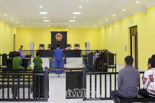 Lời biện minh vô nghĩa cho sai lầm