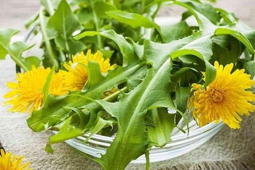 Từng mọc đầy ven bờ rào, nay được mệnh danh 'vua thải độc': Giá không còn rẻ, vào bếp thành món lạ nhiều người mê