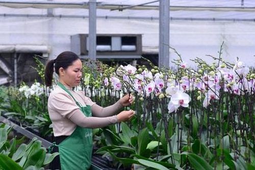 Hà Nội: Khơi thông nguồn lực đất đai, mở rộng dư địa tăng trưởng