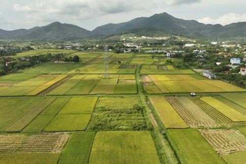 Khơi thông nguồn lực đất đai: Từ tư duy 'khai thác' sang 'kiến tạo giá trị' cho Thủ đô