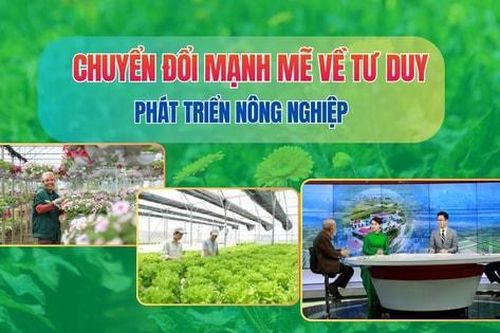 Chuyển đổi mạnh mẽ về tư duy phát triển nông nghiệp để 'đánh thức' giá trị đất đai