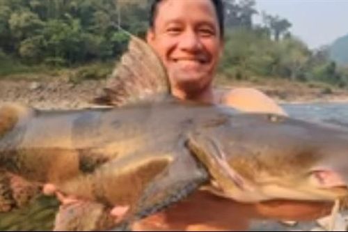 Nghề săn cá 'chúa tể' trên dòng Đà giang
