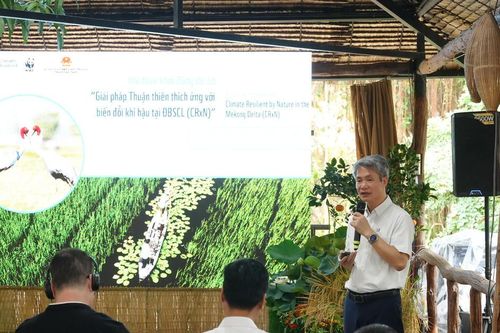 Khởi động dự án phục hồi sinh thái, đảm bảo sinh kế thích ứng biến đổi khí hậu ĐBSCL