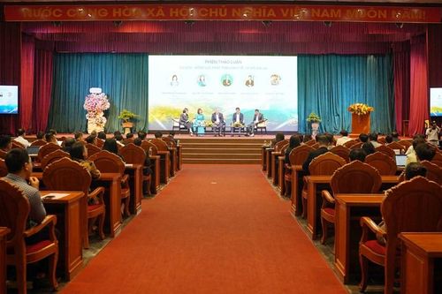 Du lịch Gia Lai: Nơi đại ngàn chạm biển xanh
