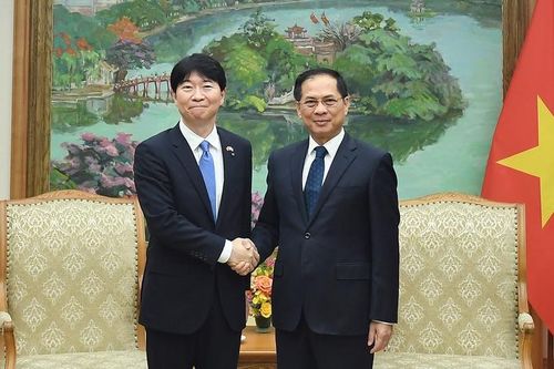 Phó Thủ tướng Bùi Thanh Sơn tiếp Thống đốc tỉnh Okayama (Nhật Bản)