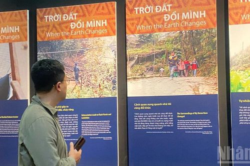 'Gieo xanh nơi đỉnh mây': Chuyện về những người phụ nữ vùng cao với nỗ lực bảo tồn di sản