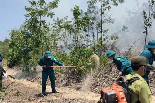 Kịp thời chữa cháy rừng phòng hộ