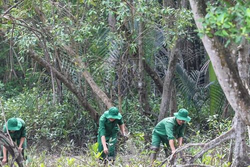 Khai thác 'vốn xanh' để giữ sinh kế cho người dân đồng bằng