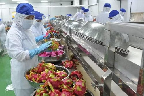 Nâng cao chất lượng, quy chuẩn nông sản xuất khẩu sang EU