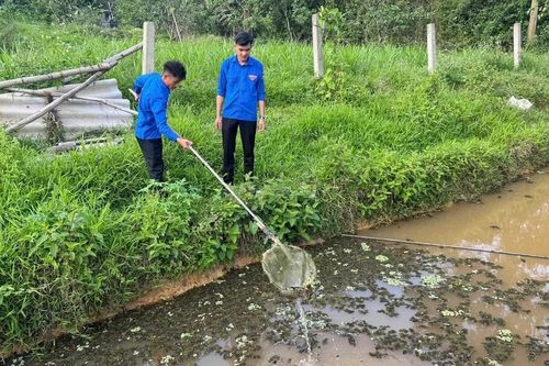 Những người trẻ quyết làm giàu trên vùng đất khó