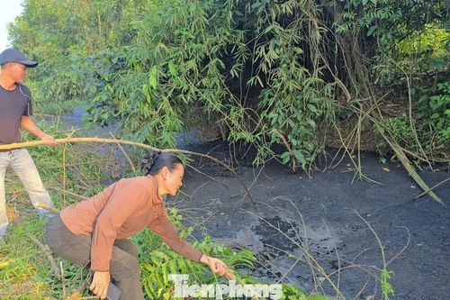 Nghệ An yêu cầu kiểm tra vụ nước suối chuyển màu đen đặc sau bài báo trên Tiền Phong