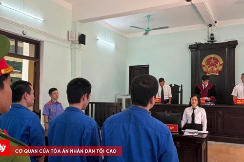 Ngựa quen đường cũ, 3 bị cáo cùng vào tù vì ma túy