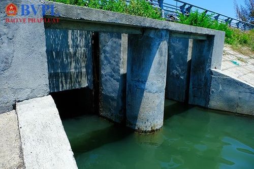 Nước thải nặng mùi xả thẳng ra sông Quán Trường Nha Trang