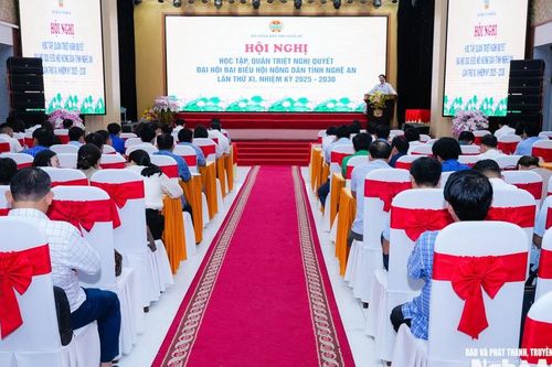 Quán triệt Nghị quyết Đại hội đại biểu Hội Nông dân tỉnh lần thứ XI, nhiệm kỳ 2025 – 2030