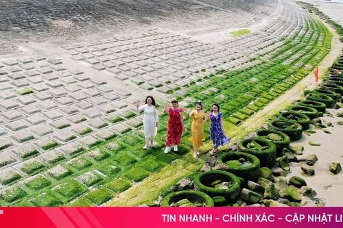 Khám phá 'Rạn Nam Ô' xanh mướt bên bờ biển Hà Tĩnh