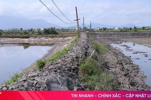 'Nút thắt' hạ tầng tại vùng nuôi trồng thủy sản Hải Ninh