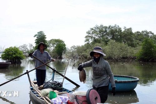 Việt Nam và WB thúc đẩy hợp tác về tài nguyên nước, nông nghiệp, môi trường