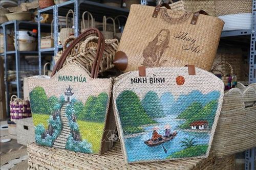 Khát vọng làm giàu từ tài nguyên bản địa