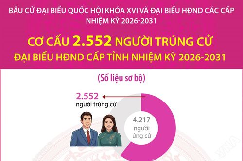 Cơ cấu 2.552 người trúng cử đại biểu HĐND cấp tỉnh nhiệm kỳ 2026-2031