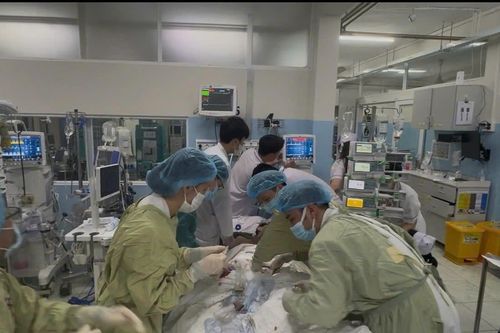 Bộ Y tế công nhận E-CPR kỹ thuật mới mở cơ hội sống cho người ngừng tim