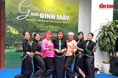 Những 'bóng hồng' Sa Pa gieo xanh nơi đỉnh mây
