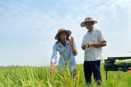Bộ NN&MT xây dựng kịch bản sản xuất trước tình hình xung đột Trung Đông