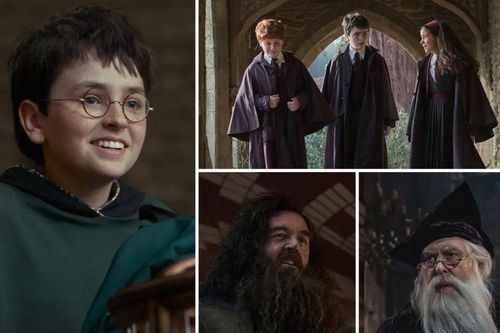 Fan phản ứng trái chiều với tạo hình chính thức của dàn diễn viên series Harry Potter